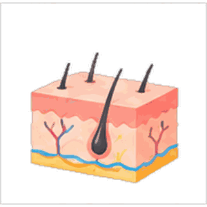 Dermatology