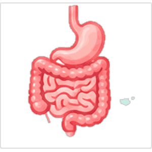 Medical Gastroenterology