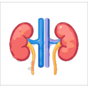 Nephrology & Dialysis