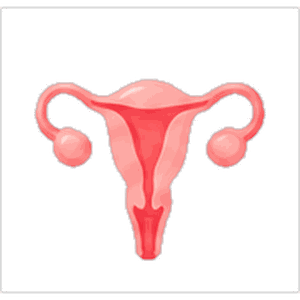Obstetrics & Gynaecology