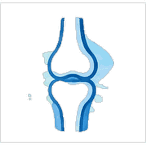 Orthopaedic Surgery