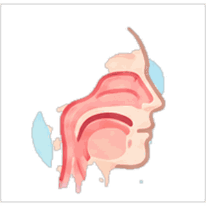 Otorhinolaryngology (ENT)