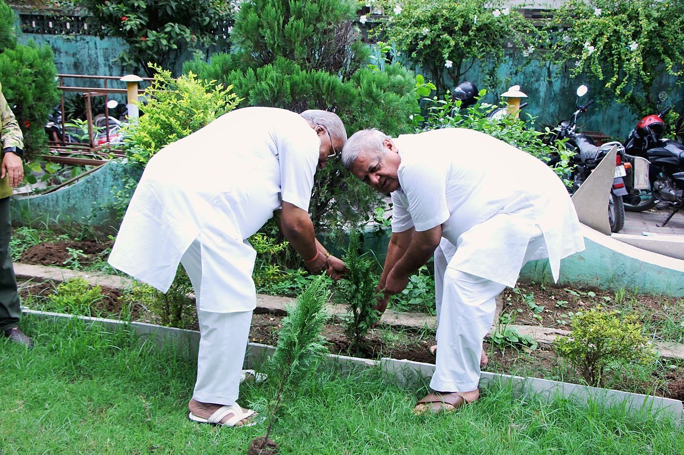 Plantation drive. Consultants at the annual plantation drive.